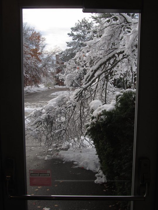 BlizzardNovember2014Pic4.jpg