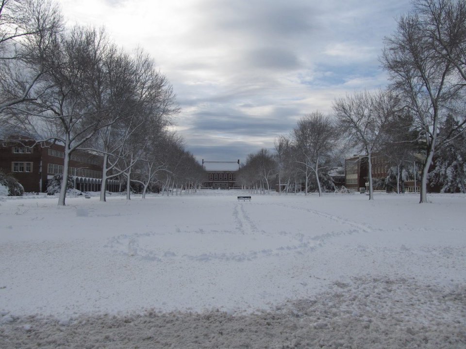 BlizzardNovember2014Pic5.jpg