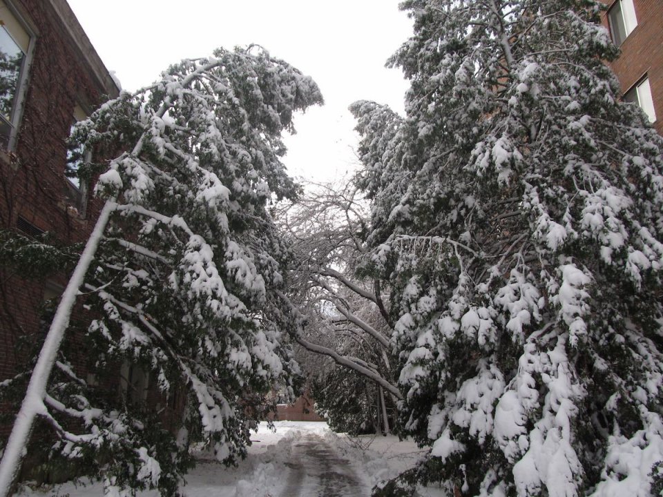 BlizzardNovember2014Pic7.jpg