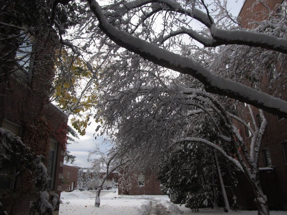 BlizzardNovember2014Pic8.jpg